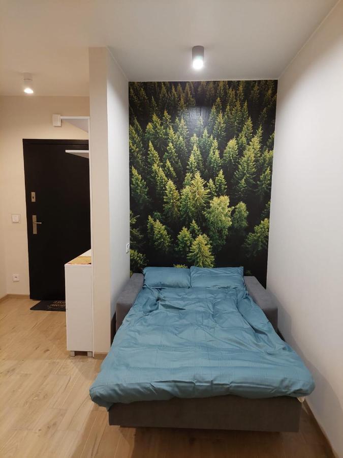 Apartament Pod Gora Szyndzielnia , Debowiec Bielsko-Biała Dış mekan fotoğraf