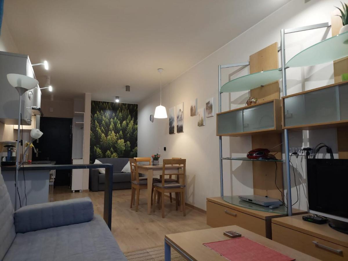 Apartament Pod Gora Szyndzielnia , Debowiec Bielsko-Biała Dış mekan fotoğraf